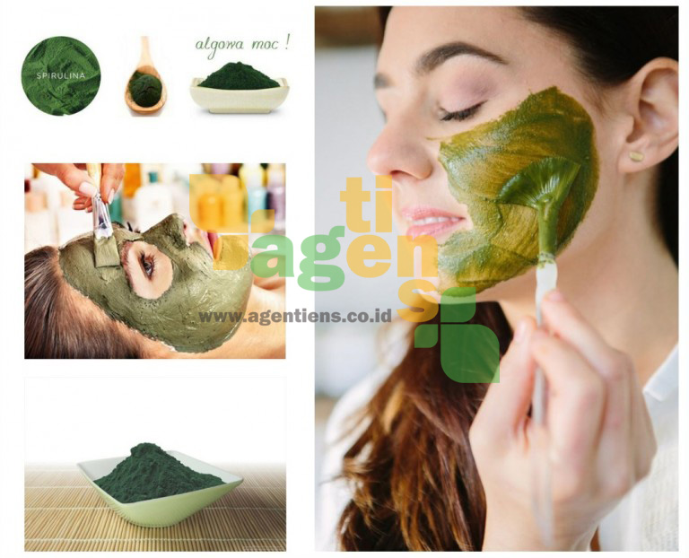 Jual Masker Spirulina Tiens Asli Terpercaya | Masker Spirulina - agentiens.co.id