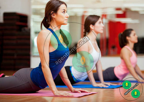 yoga-cobra-pose-agentiens