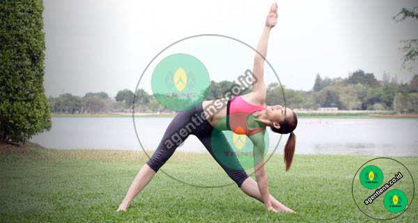 yoga-triangle-agentiens